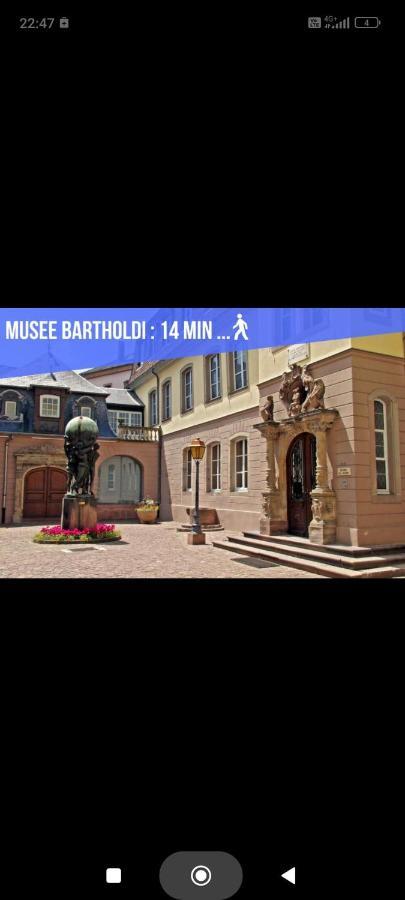Refuge Ladhof Odysalis I Chic-Moderne-Proche Du Centre-Ville 3 Pieces 2 Chambres Colmar Esterno foto