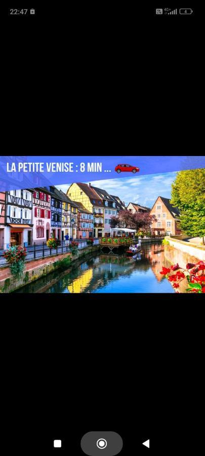 Refuge Ladhof Odysalis I Chic-Moderne-Proche Du Centre-Ville 3 Pieces 2 Chambres Colmar Esterno foto