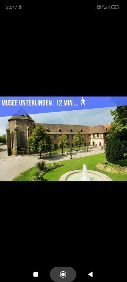 Refuge Ladhof Odysalis I Chic-Moderne-Proche Du Centre-Ville 3 Pieces 2 Chambres Colmar Esterno foto